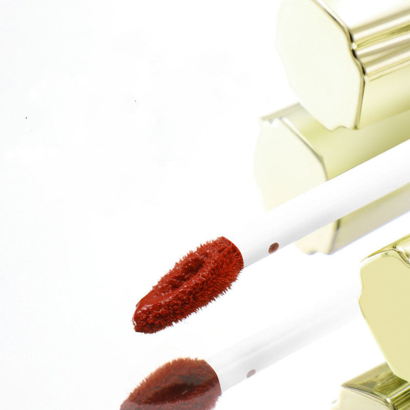 Vibrant Matte Lip Gloss TM